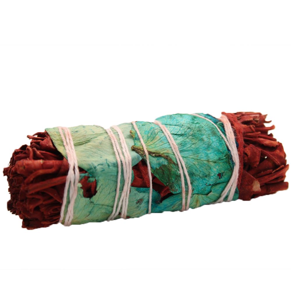 Dragons Blood Floral Sage 10cm