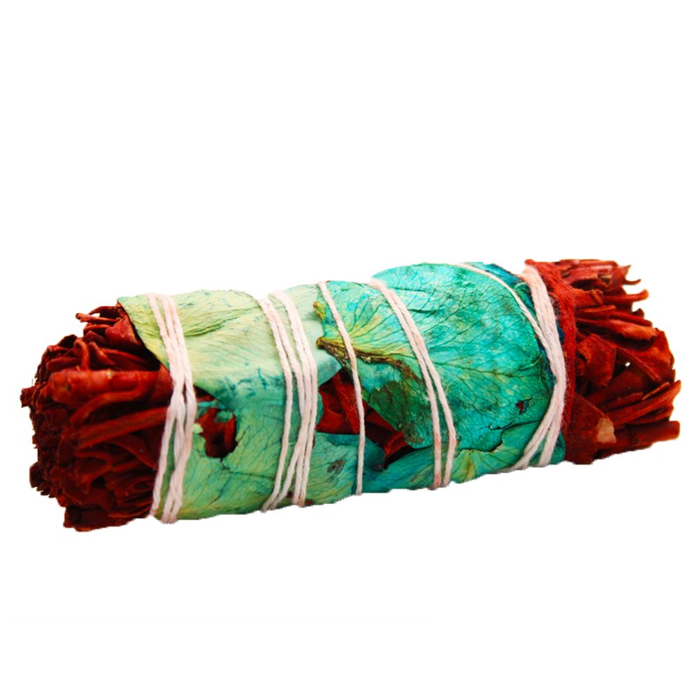Dragons Blood Floral Sage 10cm