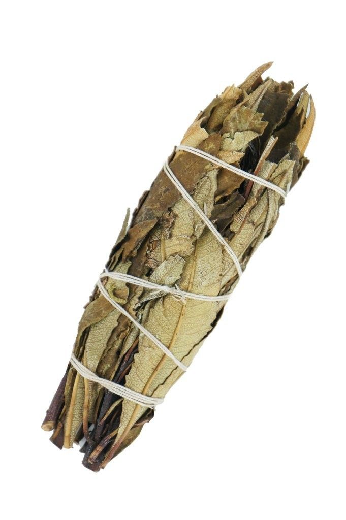 Yerba Santa Sage 10cm