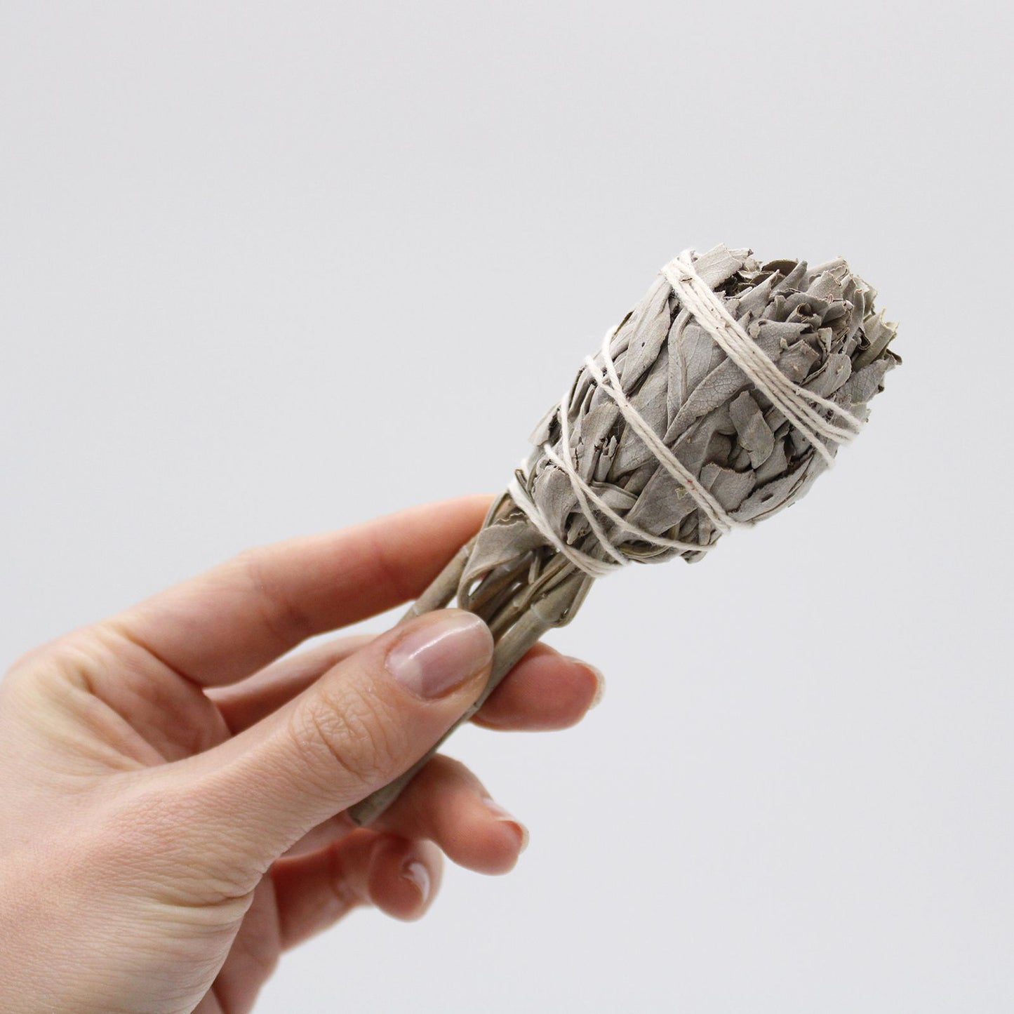 Mini White Sage Torch 10cm