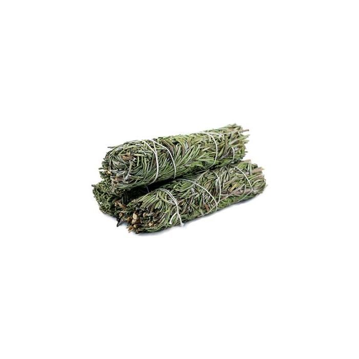 Mountain Sage 10 cm
