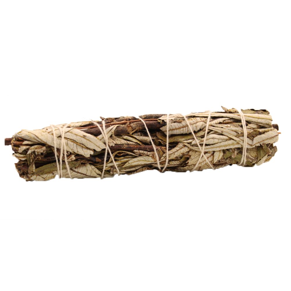 Black Sage 15cm