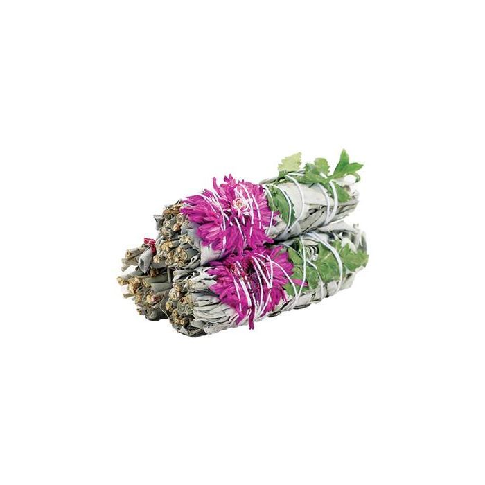 Dahlia Sage 10cm