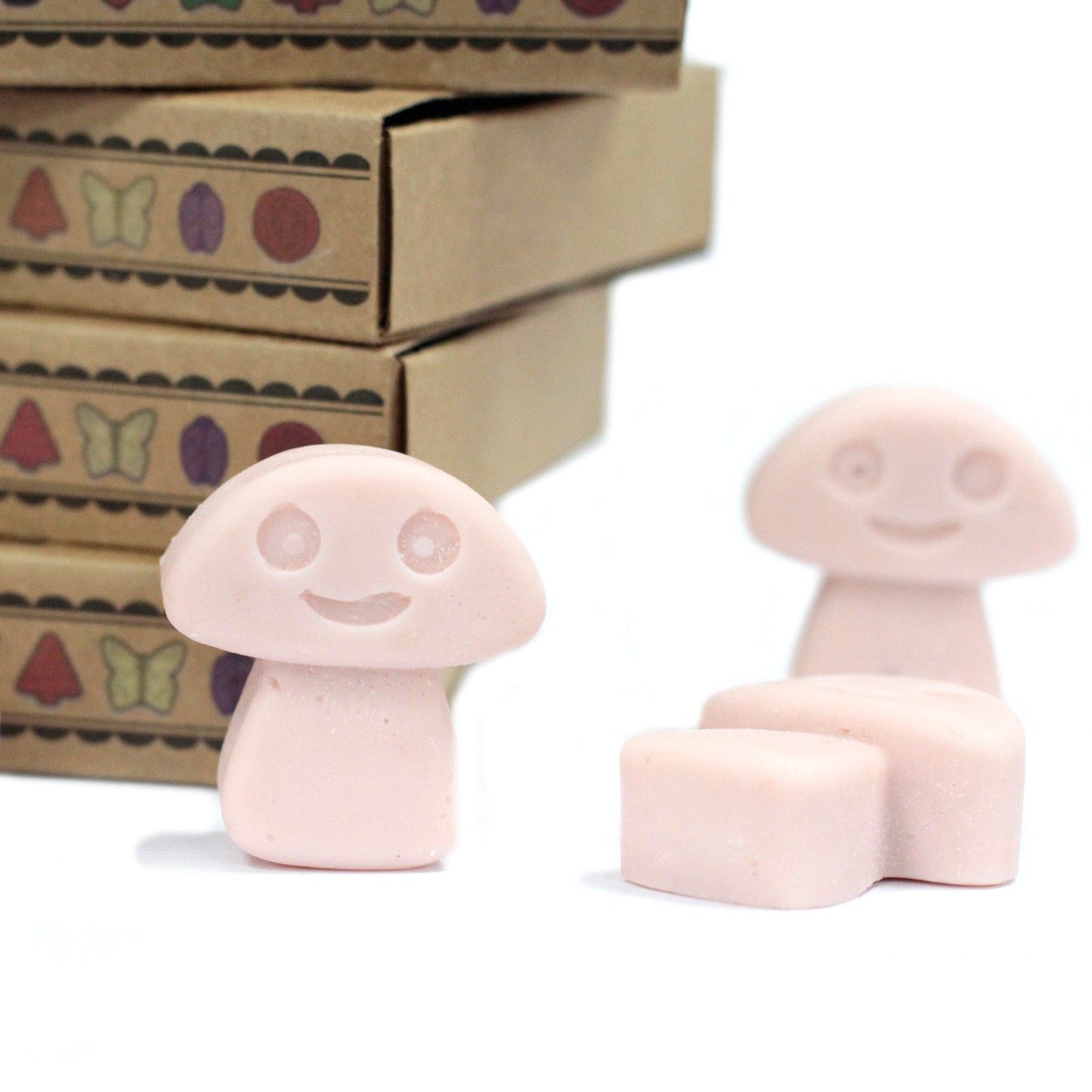 Gift Set of 6 Wax Melts - Old Ginger