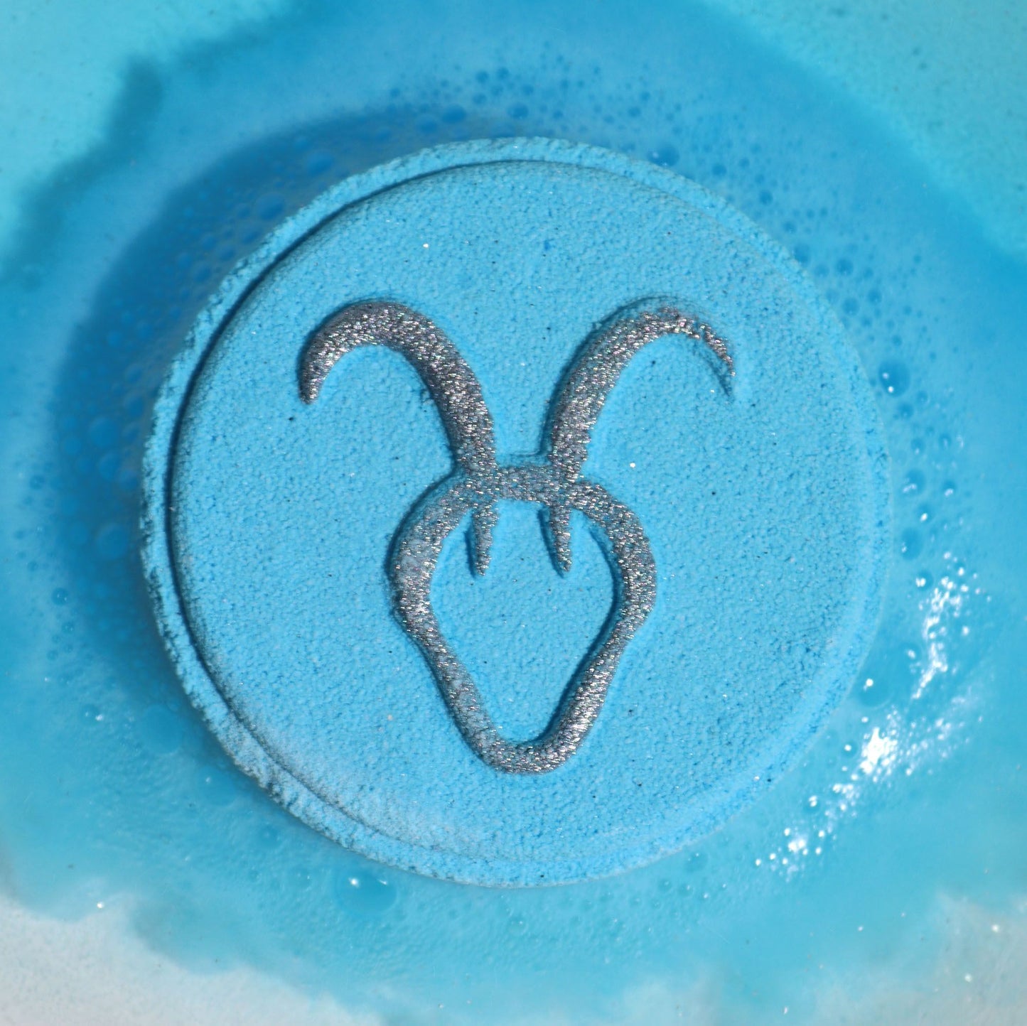 Capricorn