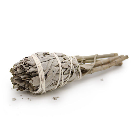 Mini White Sage Torch 10cm