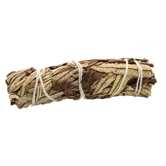 Yerba Santa Sage 10cm
