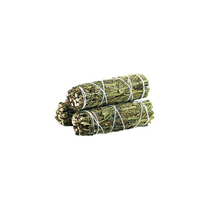Ruda Rue Sage 10cm