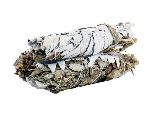 White Sage & Black Sage 10cm