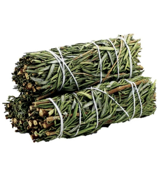 Rosemary  Stick 10cm