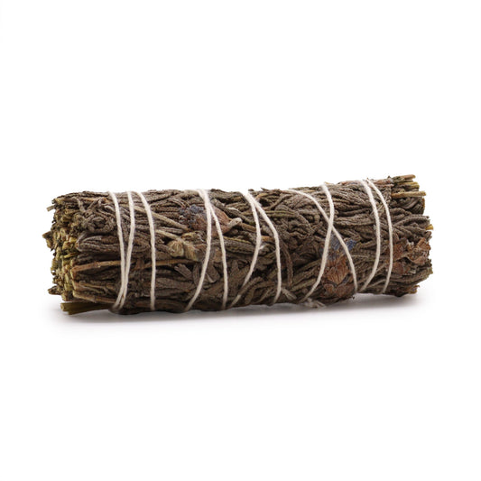 Lavender Sage 10cm